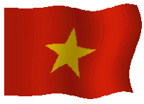 Ngôn ngữ vi