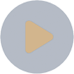 Icon video