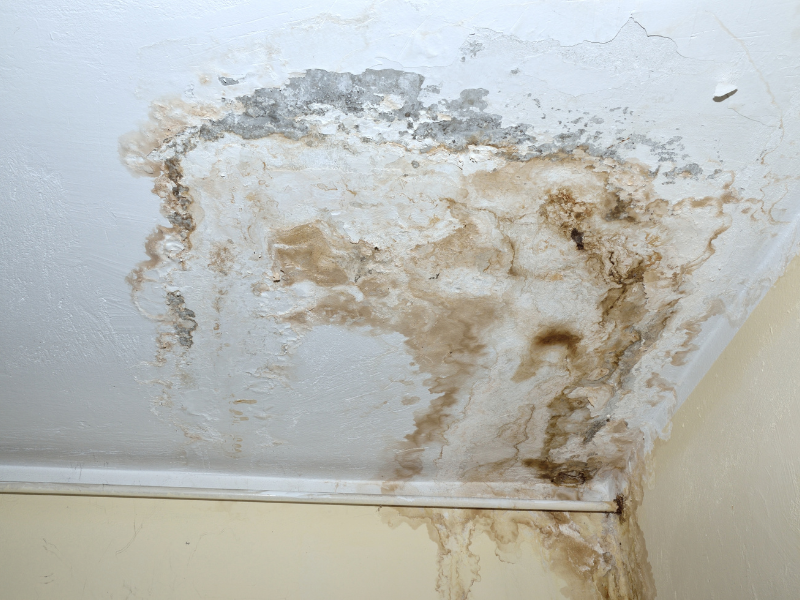 Cách Xử Lý Tường Bị Thấm Mốc Triệt Để: Bí Quyết Từ Chuyên Gia Xây Dựng